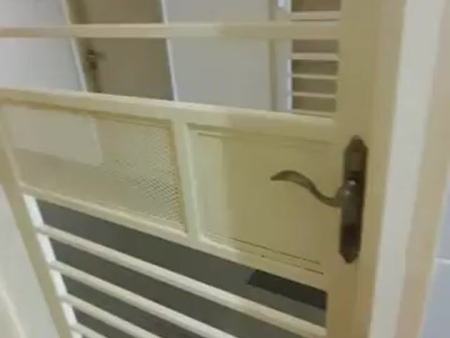 Video Image 1