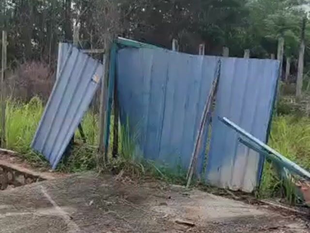 Video Image 1