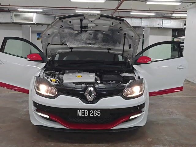 2014 Renault MEGANE RS 265 FACELIFT (M) - 1