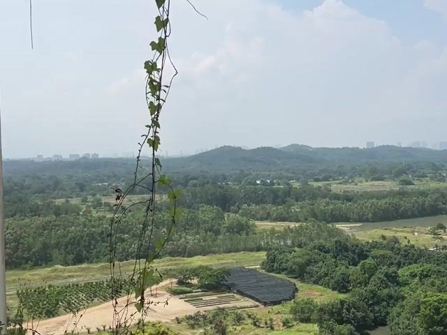 Video Image 1