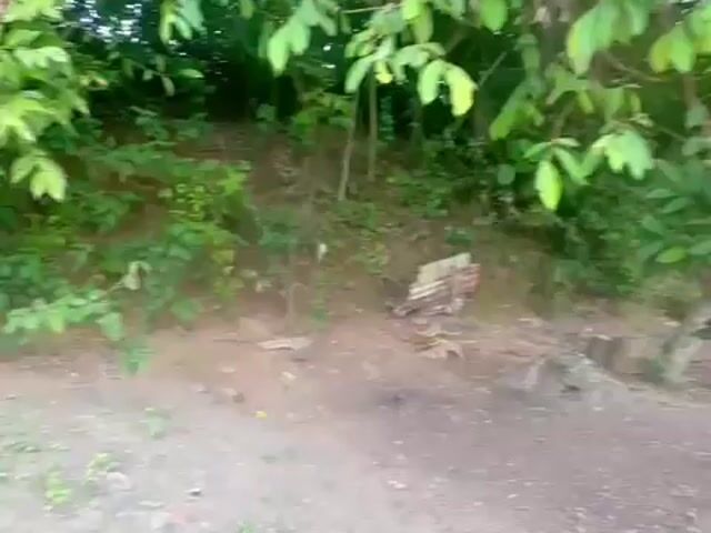 Video Image 1