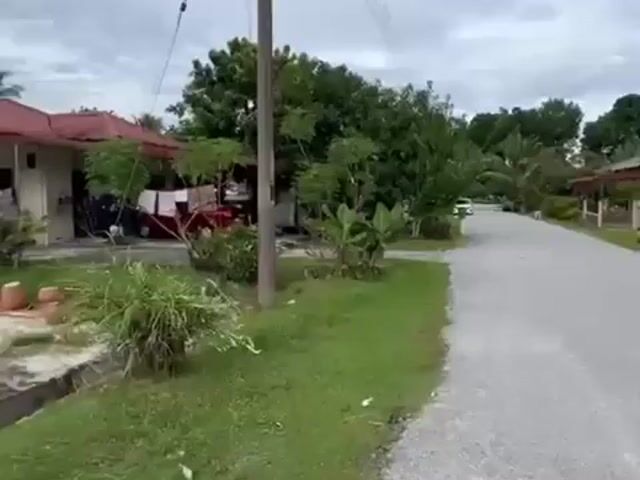Video Image 1