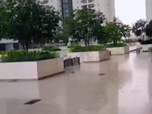 Video Image 1