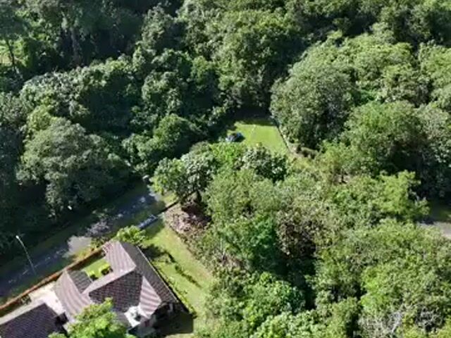 Video Image 1