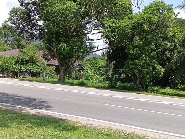 Video Image 1