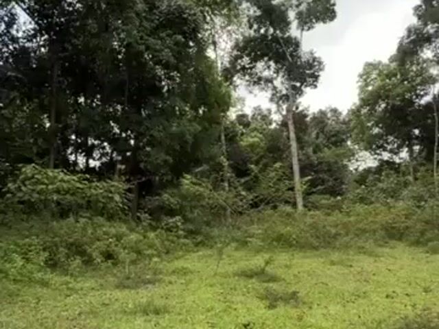Video Image 1