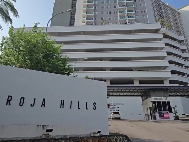 Video Image 1