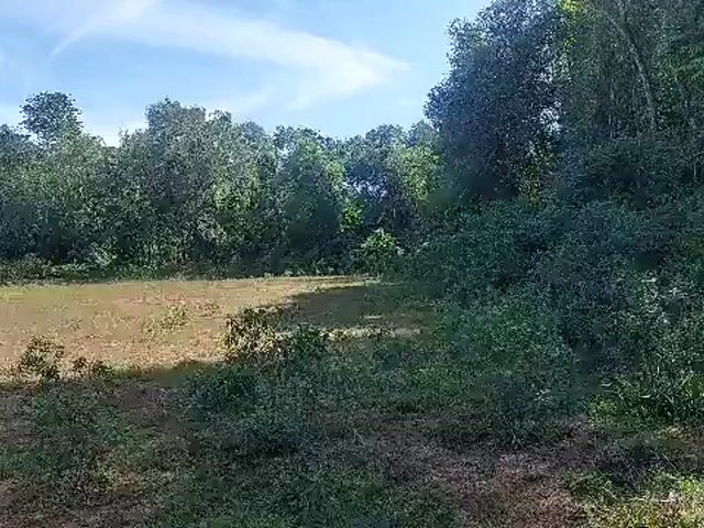 Video Image 1