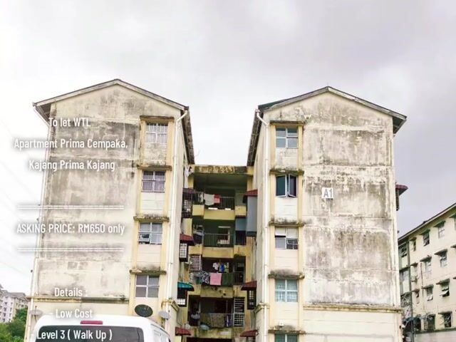 Video Image 1