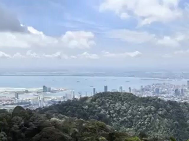 Video Image 1