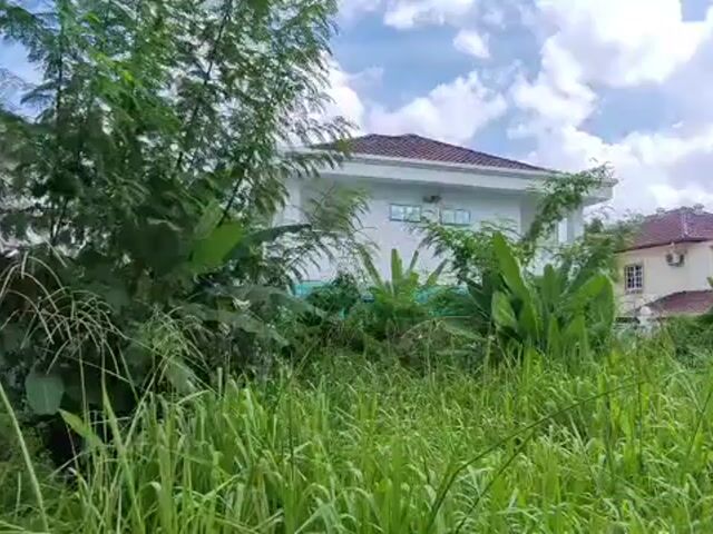 Video Image 1