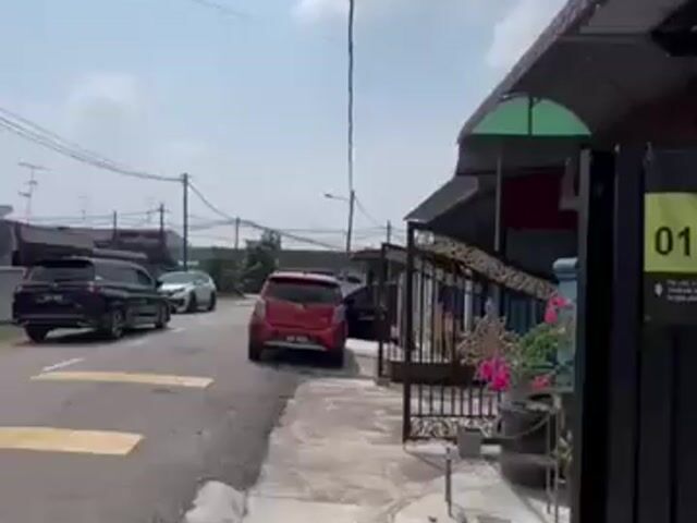 Video Image 1