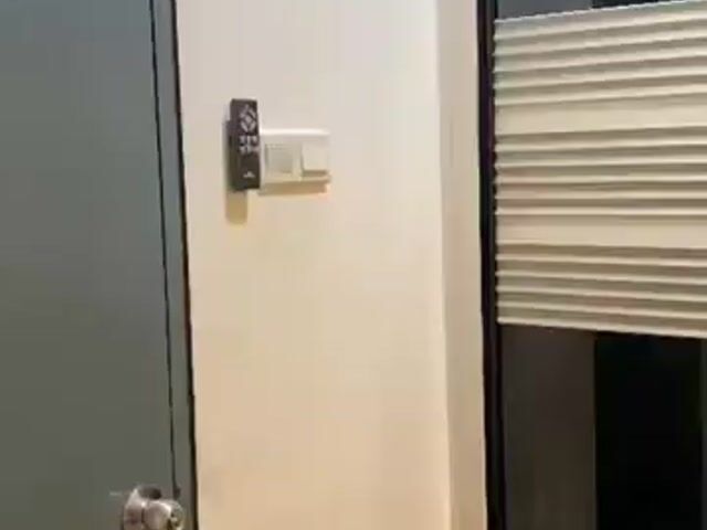 Video Image 1