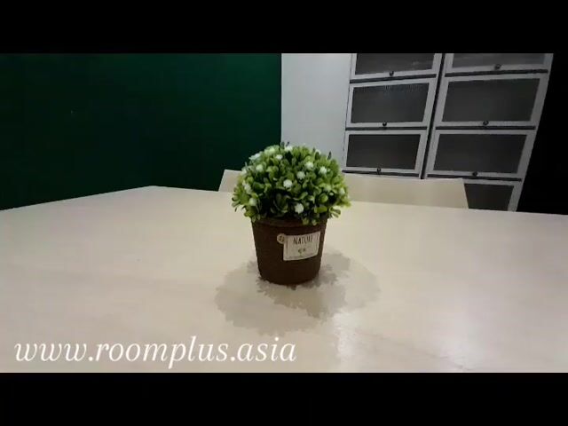 Video Image 1
