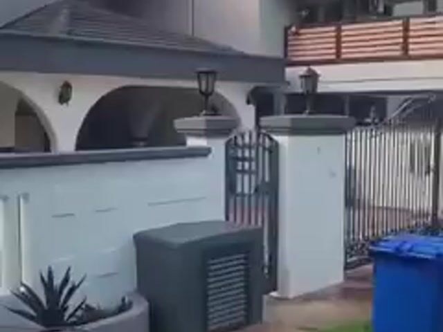 Video Image 1