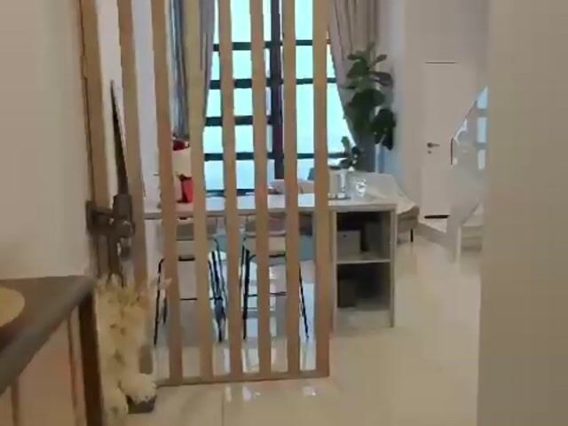 Video Image 1