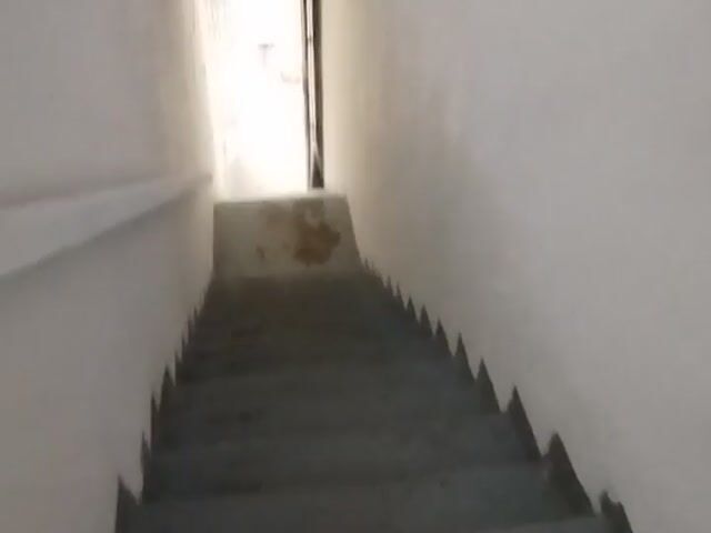Video Image 1