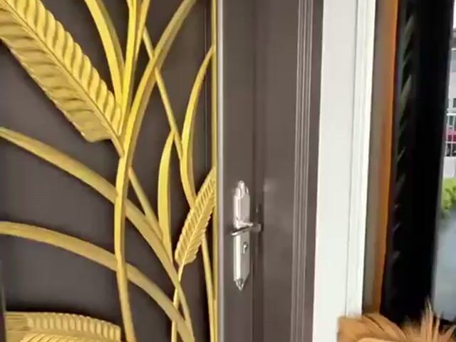 Video Image 1