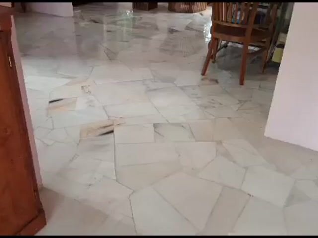 Video Image 1