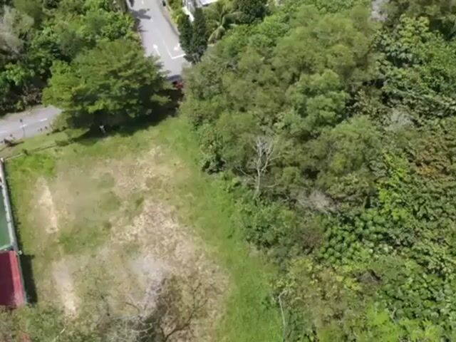 Video Image 1