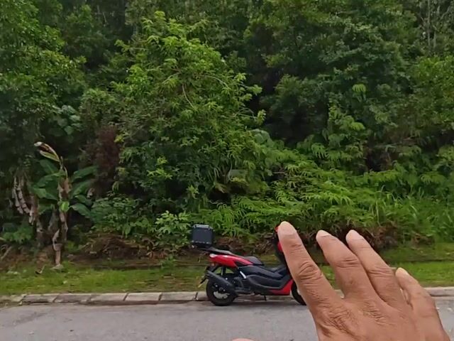 Video Image 1