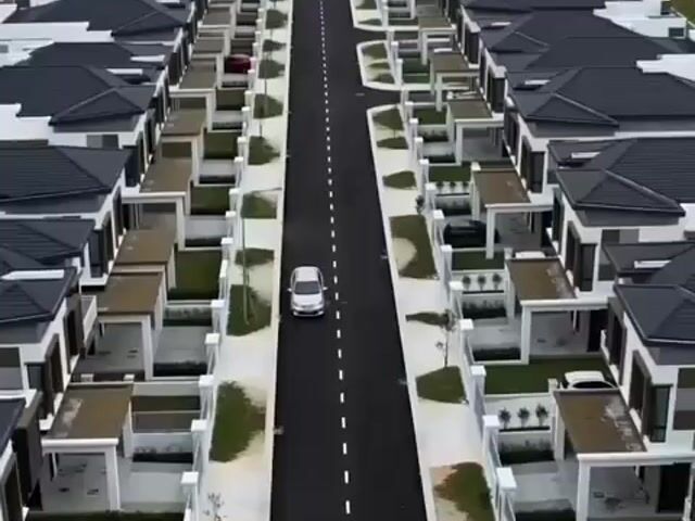 Video Image 1