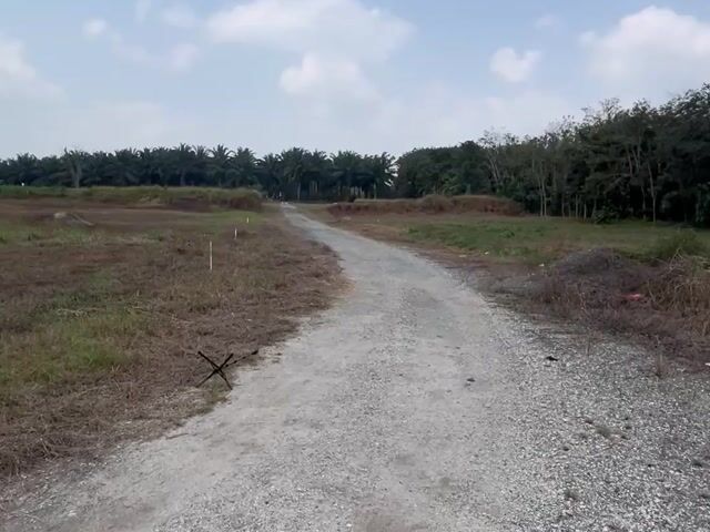 Video Image 1