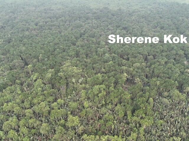 Video Image 1