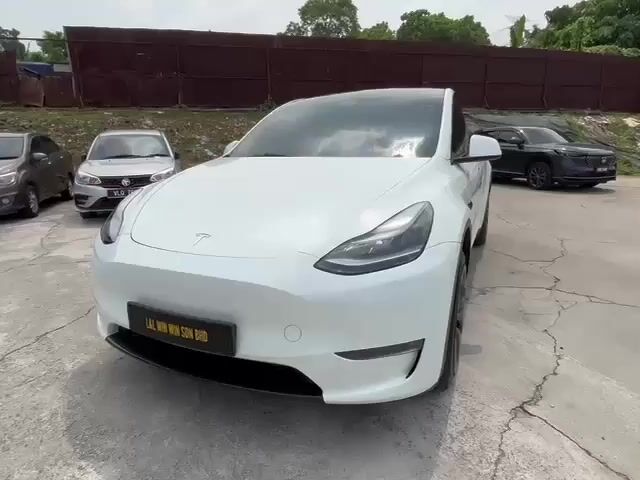 Tesla MODEL Y 1.0 LONG RANGE - 1
