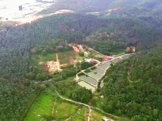 Video Image 1