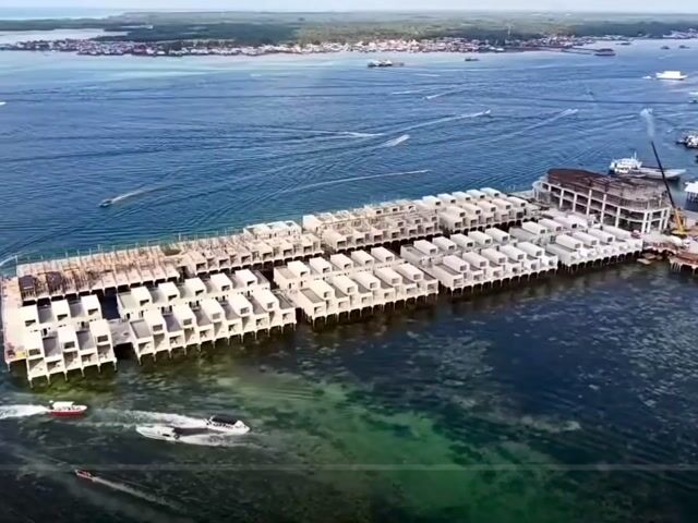 Video Image 1