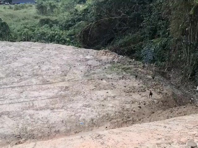 Video Image 1