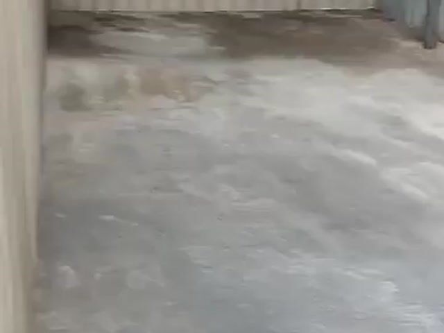 Video Image 1