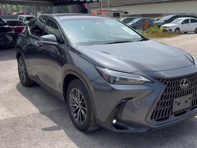 2024 Lexus NX250 2.5 STANDARD(A)Grey,Grade5A,13Kkm - 1