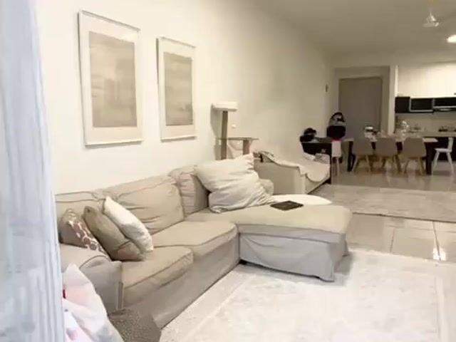 Video Image 1