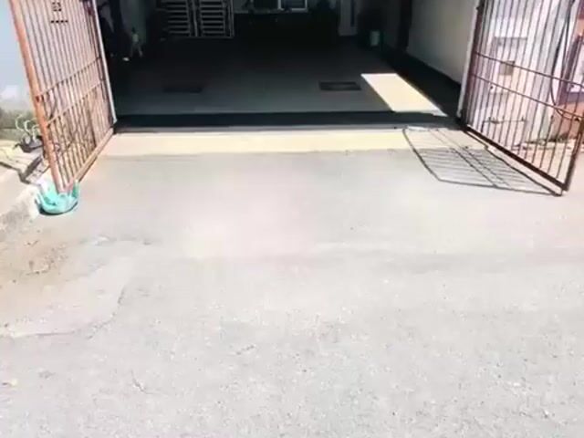 Video Image 1