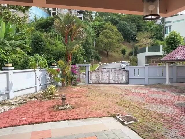 Video Image 1
