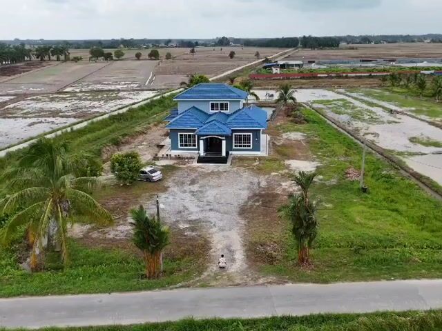 Video Image 1