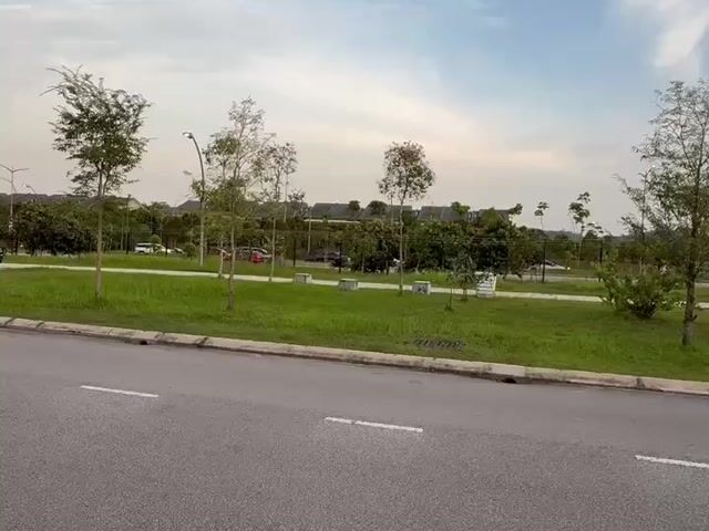 Video Image 1
