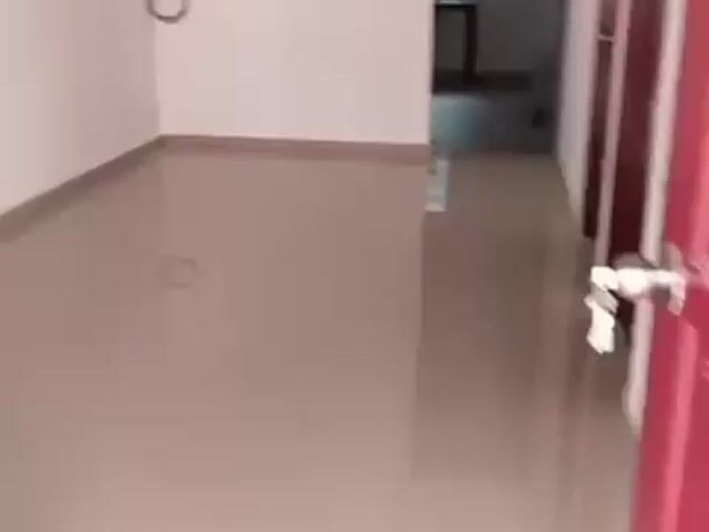 Video Image 1
