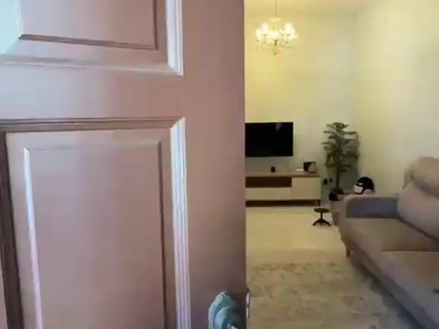 Video Image 1