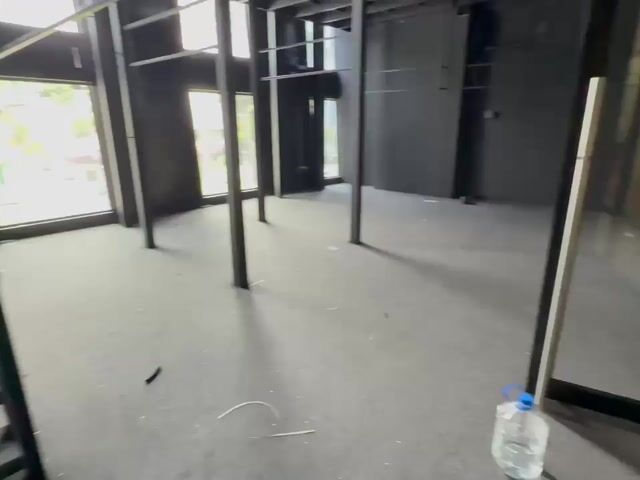 Video Image 1