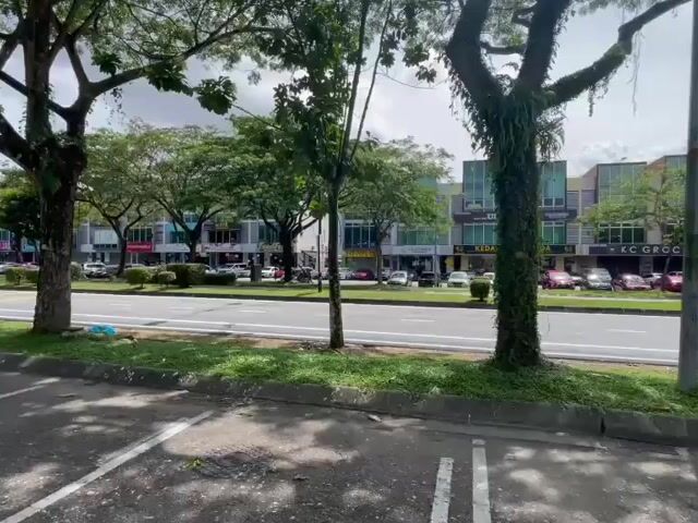Video Image 1