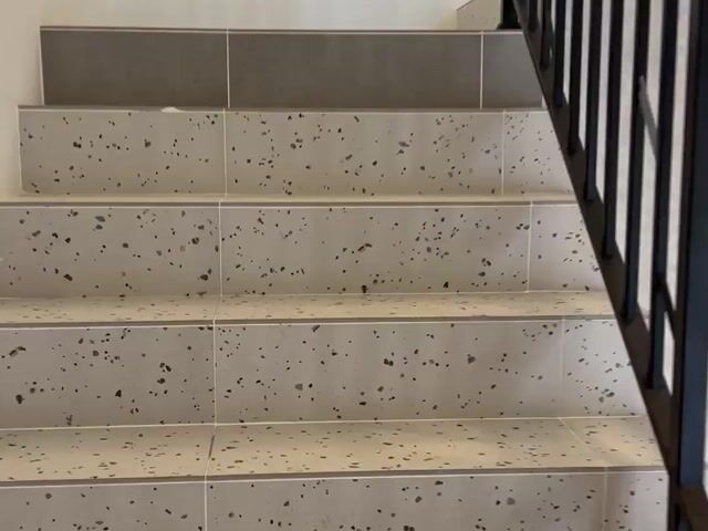 Video Image 1