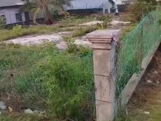 Video Image 1