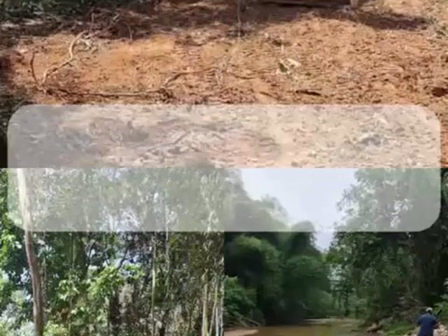 Video Image 1