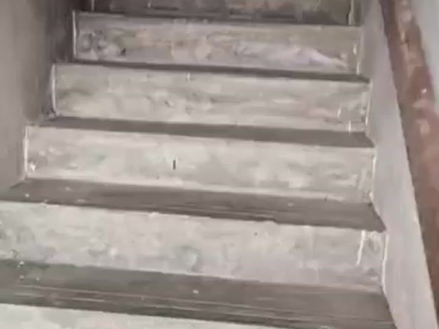 Video Image 1