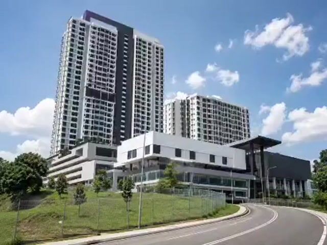 Video Image 1