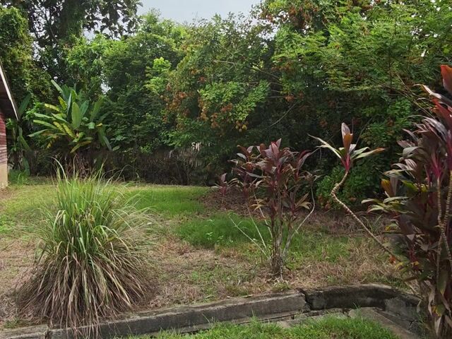 Video Image 1