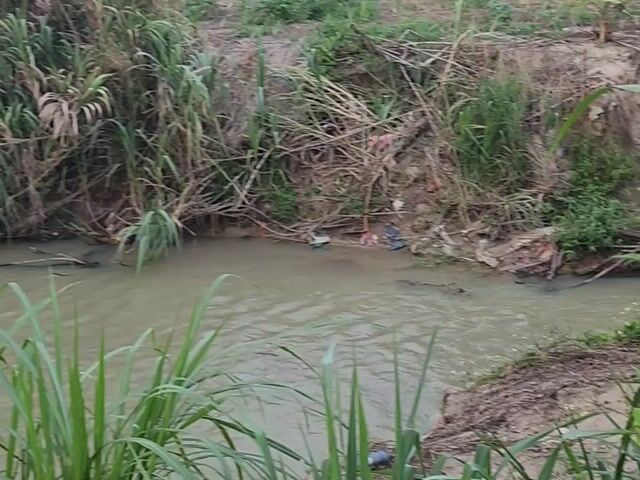 Video Image 1
